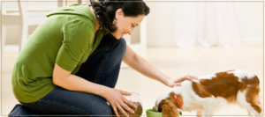 Raw Food Diets for Your Dog
