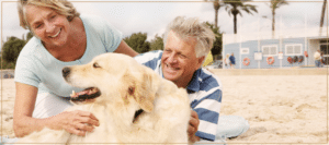 Caring for an Aging Dog