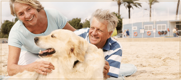 Caring for an Aging Dog