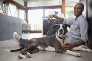 Urinary Tract Infections in Dogs