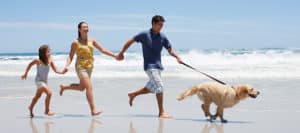 Different Exercises to do with Your Dog