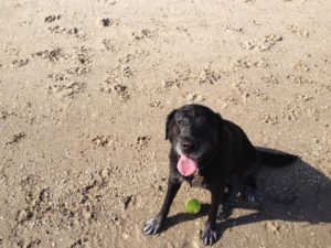 Coco - You will be missed.
