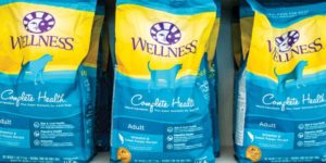 Wellness Dog Food