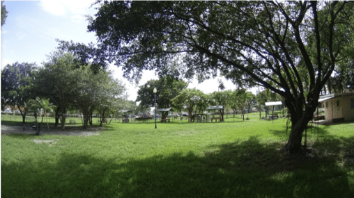 City Paws at Howard Park