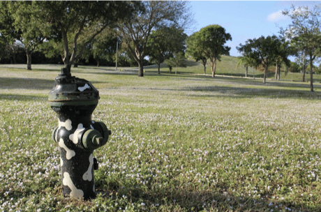 Dreher Dog Park