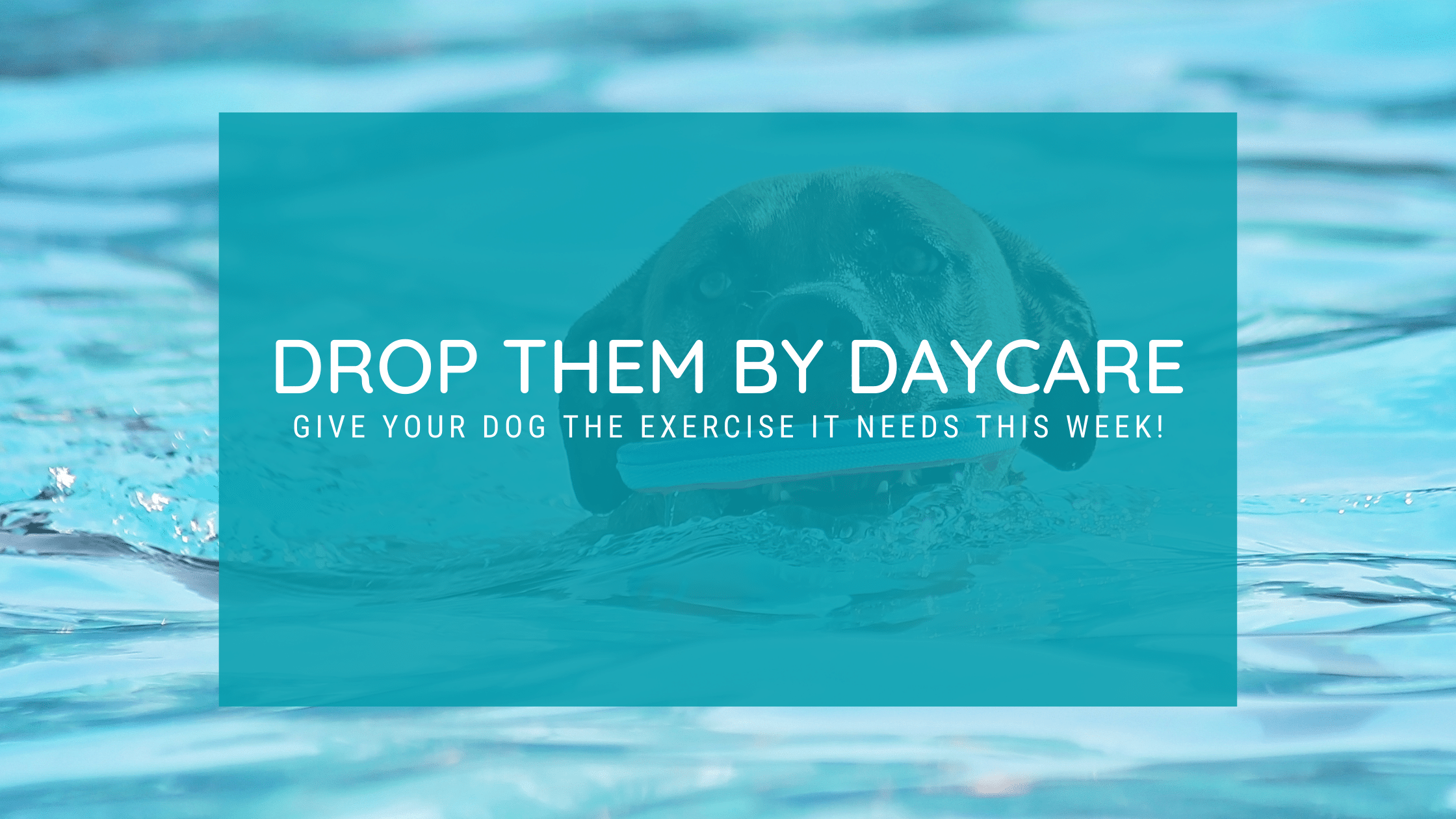 Drop Them By Daycare