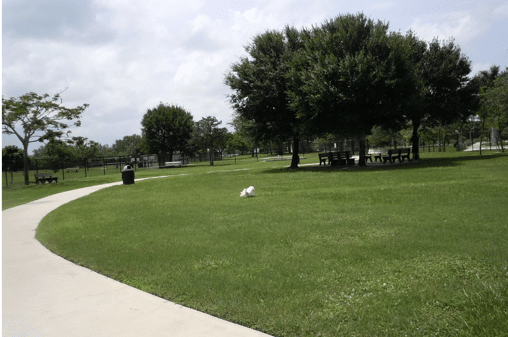 Wellington Dog Park