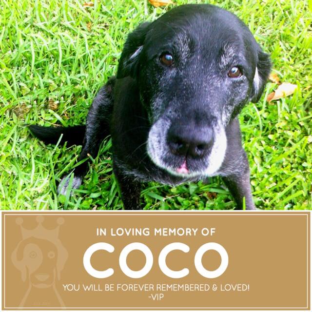 Coco -  You will be missed.