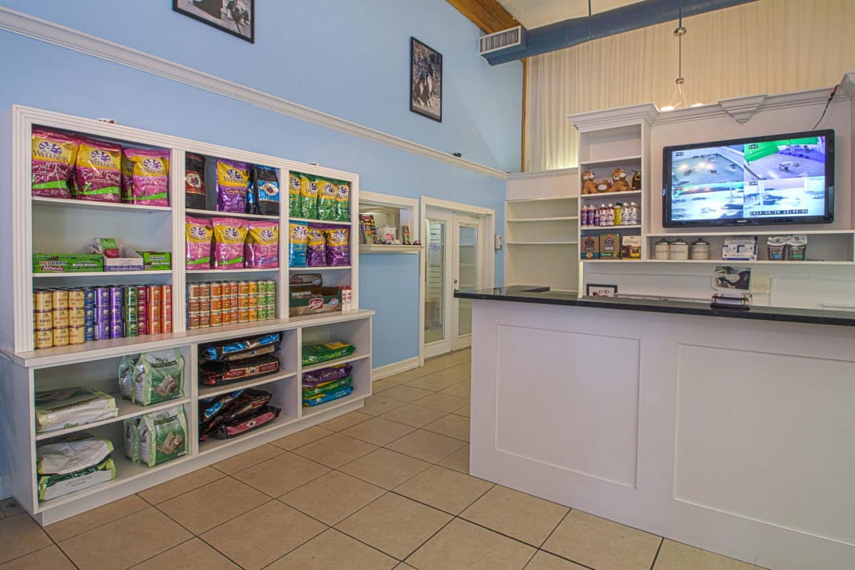 West Palm Beach Premier Dog Daycare, Hotel and Grooming VIP