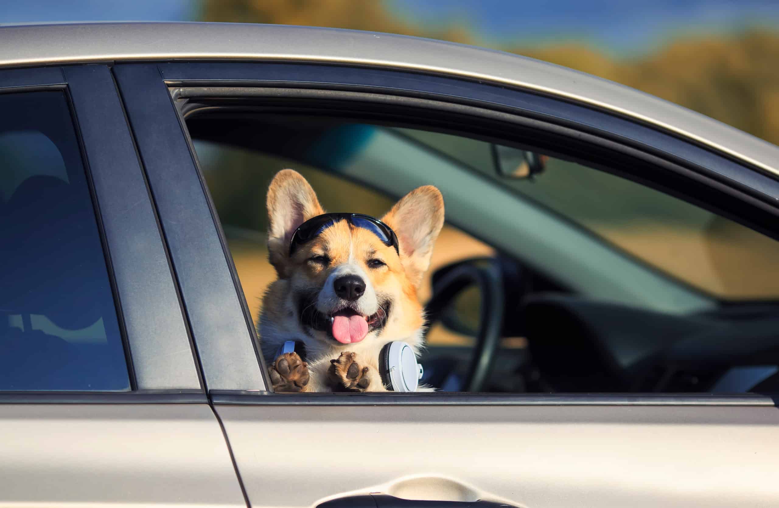 Mastering The Weave Lane: Your Guide To Stress Free Driving - atawy3s