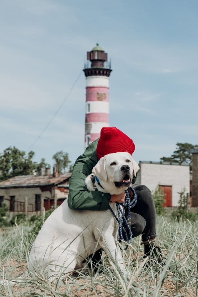 Vip pet care long deals beach