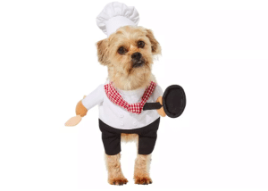 Chef Costume