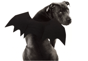 Bat Dog Costume