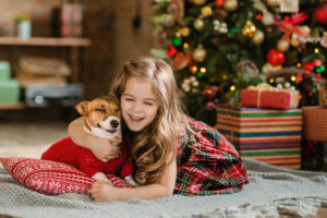 Preparing Your Dog for Holiday Guests