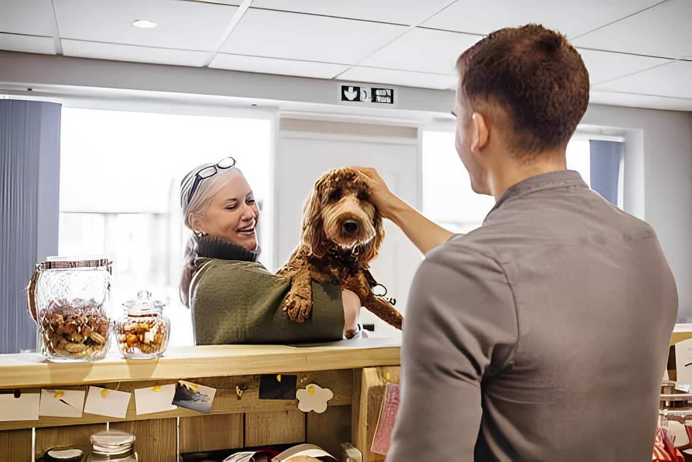 The Benefits of Pet Hotels for Both Pets and Their Owners