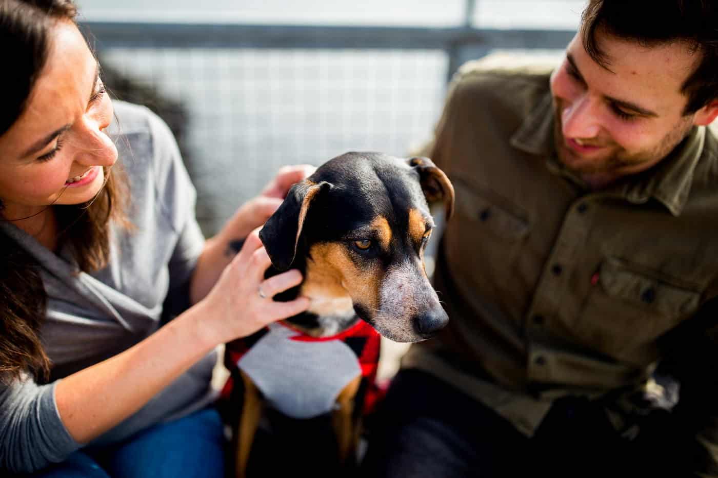 Best Pet Boarding Facility for Pet Parents