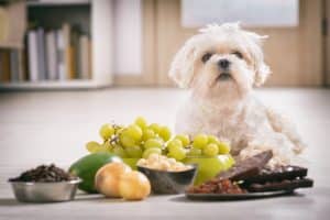 Harmful Household Items
