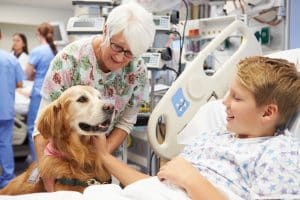 Could Your Dog Be a Therapy Dog