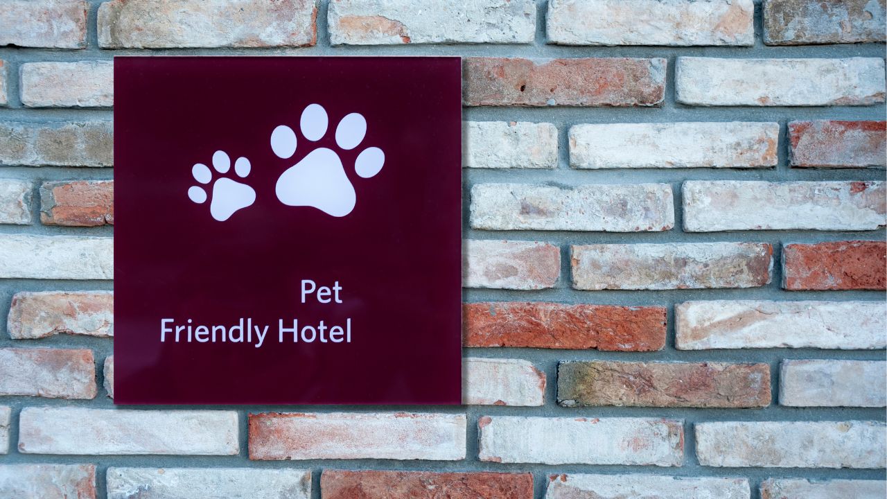 Types of Pet Hotels