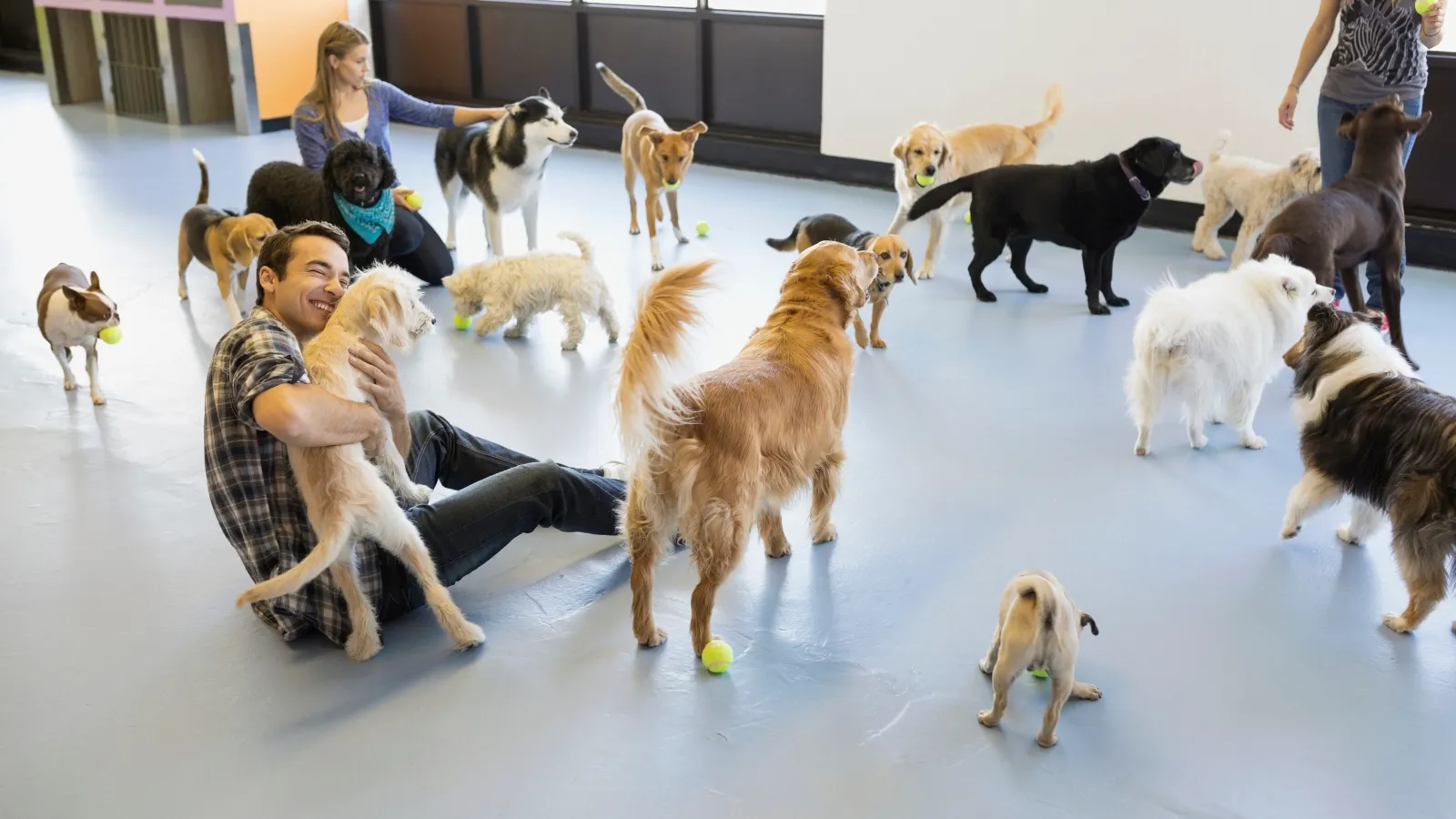 Comprehensive Guide to Dog Daycare in West Palm Beach