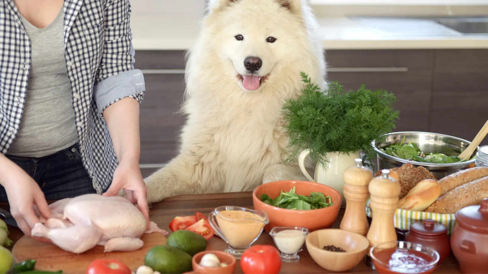 Preparing Your Kitchen for Dog-Friendly Cooking