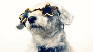 Canine Celebrities: Paws & Pop Culture