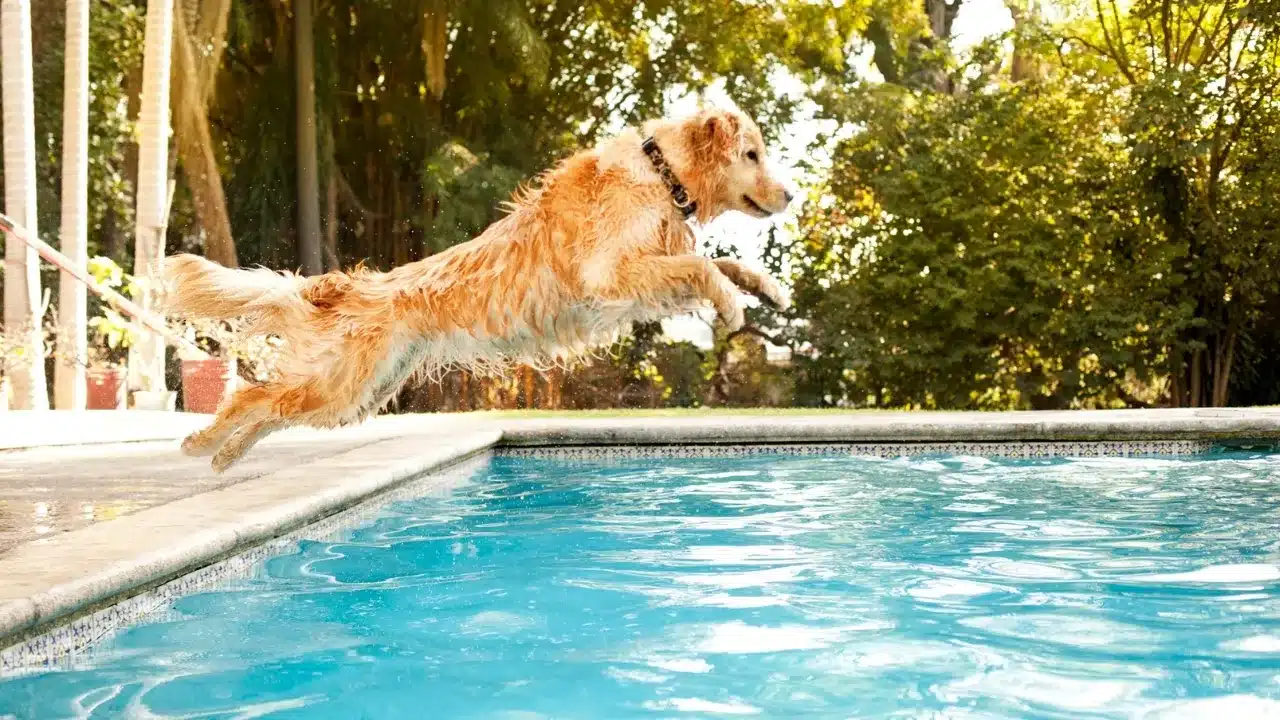 How Our Pool in West Palm Beach Supports Joint Health