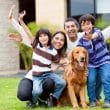 Vacation Planning Why Our West Palm Beach Dog Hotel Beats Kennels