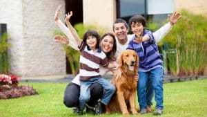 Vacation Planning Why Our West Palm Beach Dog Hotel Beats Kennels
