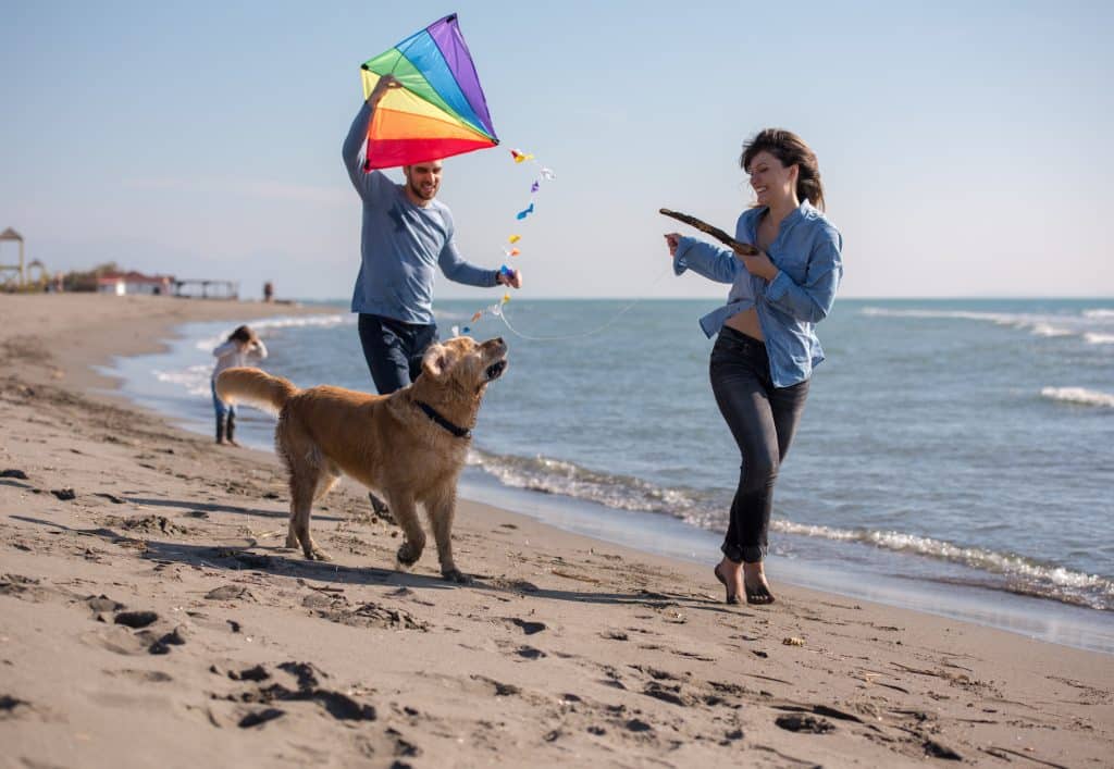 happy young family with kids having fun with a dog and kite at beach