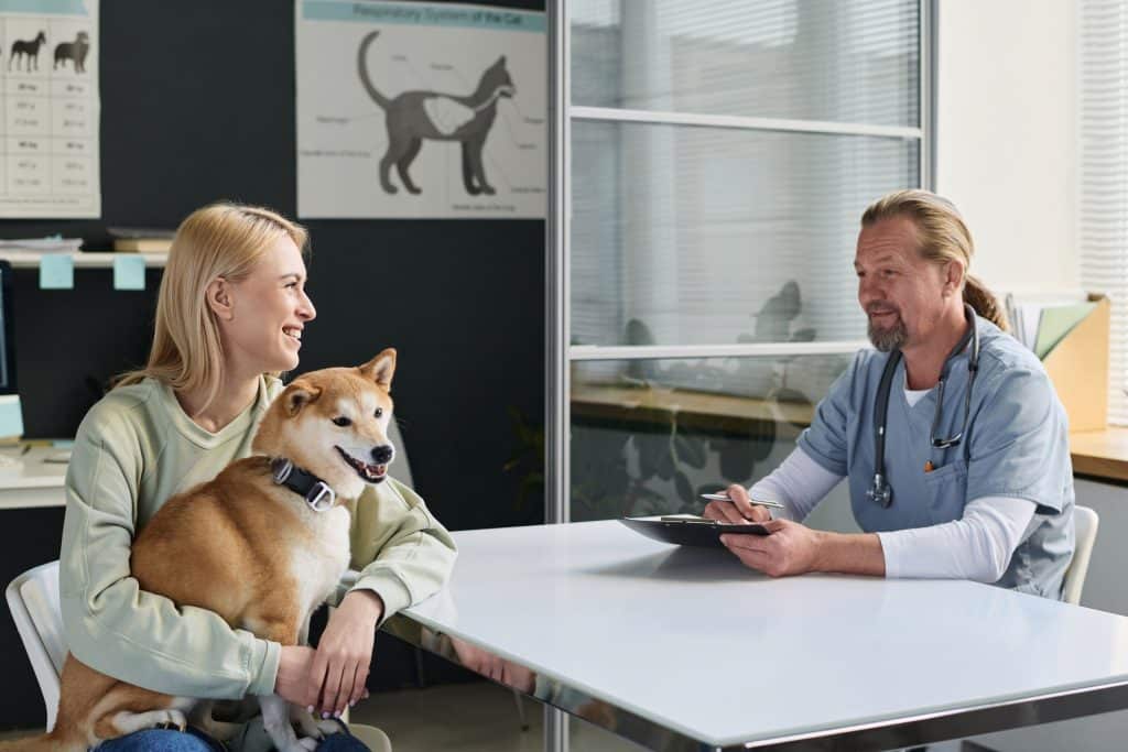 Professional Vet Talking to Female Dog Owner During Appointment